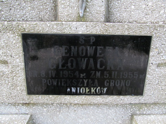 Genowefa Głowacka 1954 Ryn - Grobonet - Wyszukiwarka osób pochowanych
