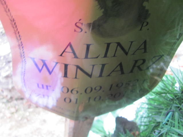 Alina Winiarz 1952 Ryn - Grobonet - Wyszukiwarka osób pochowanych